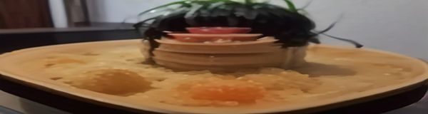餐饮老板老张在手机上查看用WordPress.com成免费网站的小店官网，展示菜单和地址信息，温馨的餐厅环境